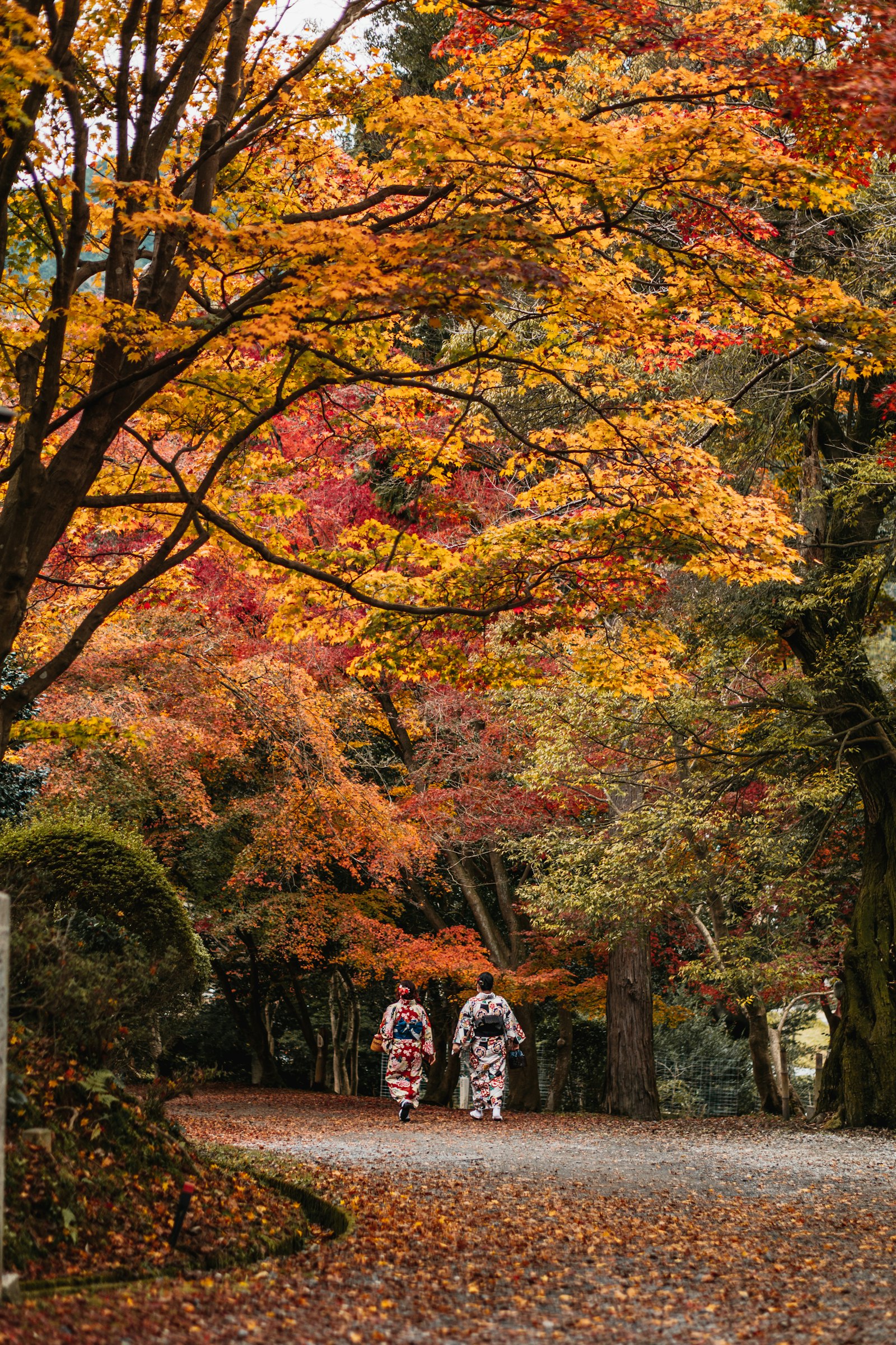 A quiet stone path through a forested Japanese temple in autumn